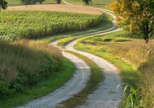 chemin-©freepik